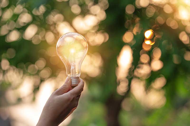 Iluminación natural: los efectos de la luz natural sobre las personas y los  beneficios para la industria